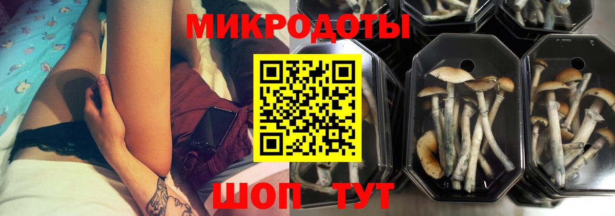 Чехов  Псилоцибиновые грибы мухоморы  Вход с VPN 